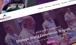 Bold North Associates